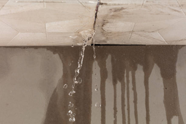 Professional Burst Pipe Cleanup technician working in Willow River, MN